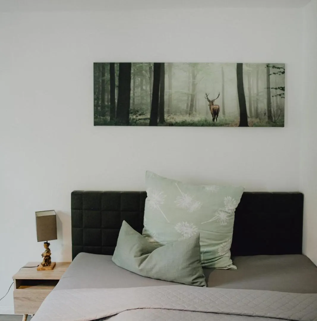 Stadt Land Fluss Boutique Aparthotel By Zollhaus 포르히하임